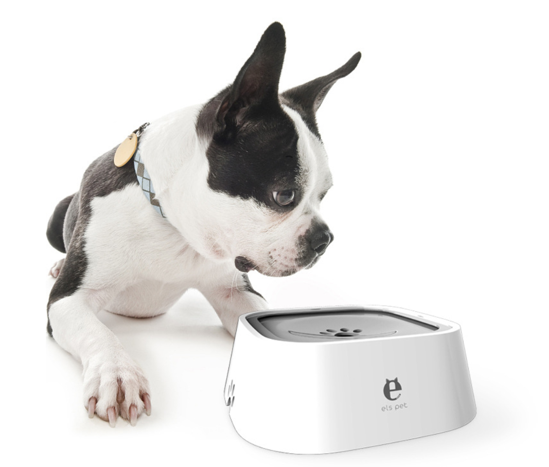 Splash-Resistant Pet Water Bowl for Dogs and Cats